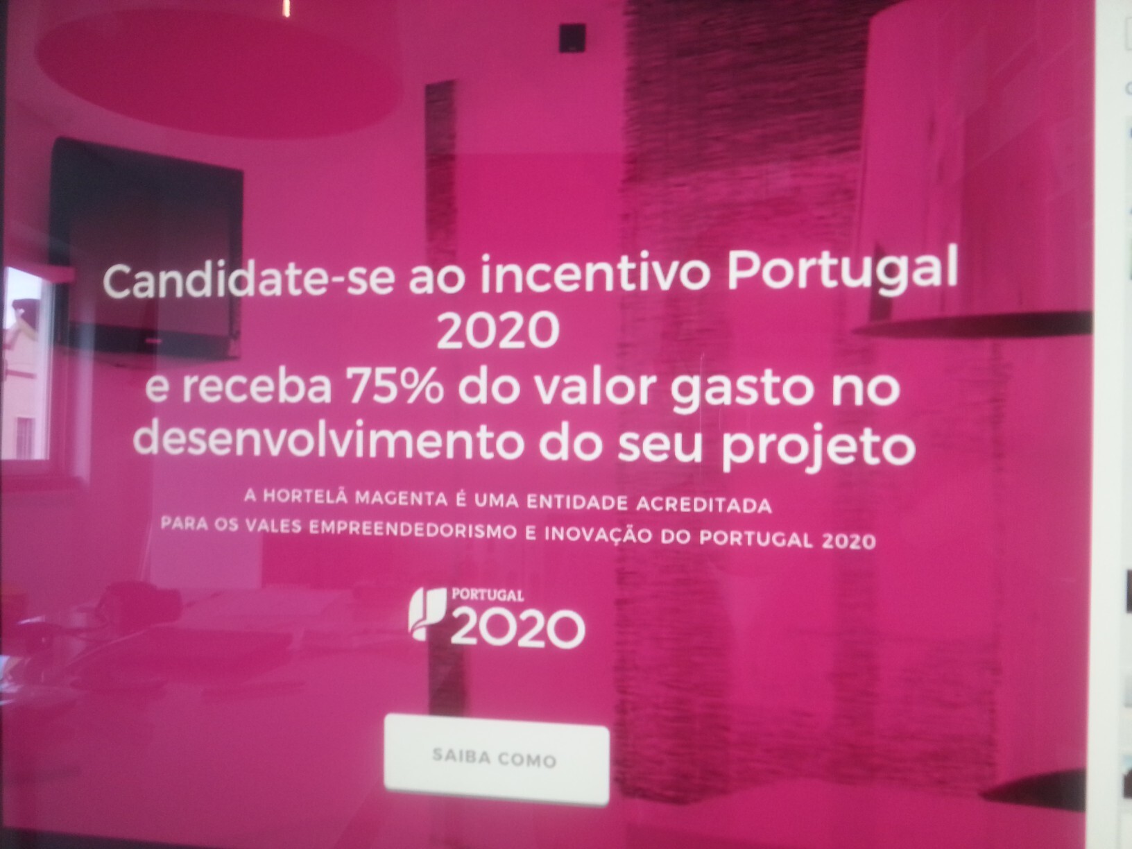 Hortelã Magenta