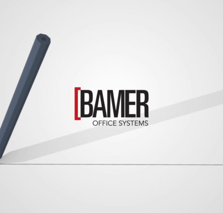 Bamer Institucional